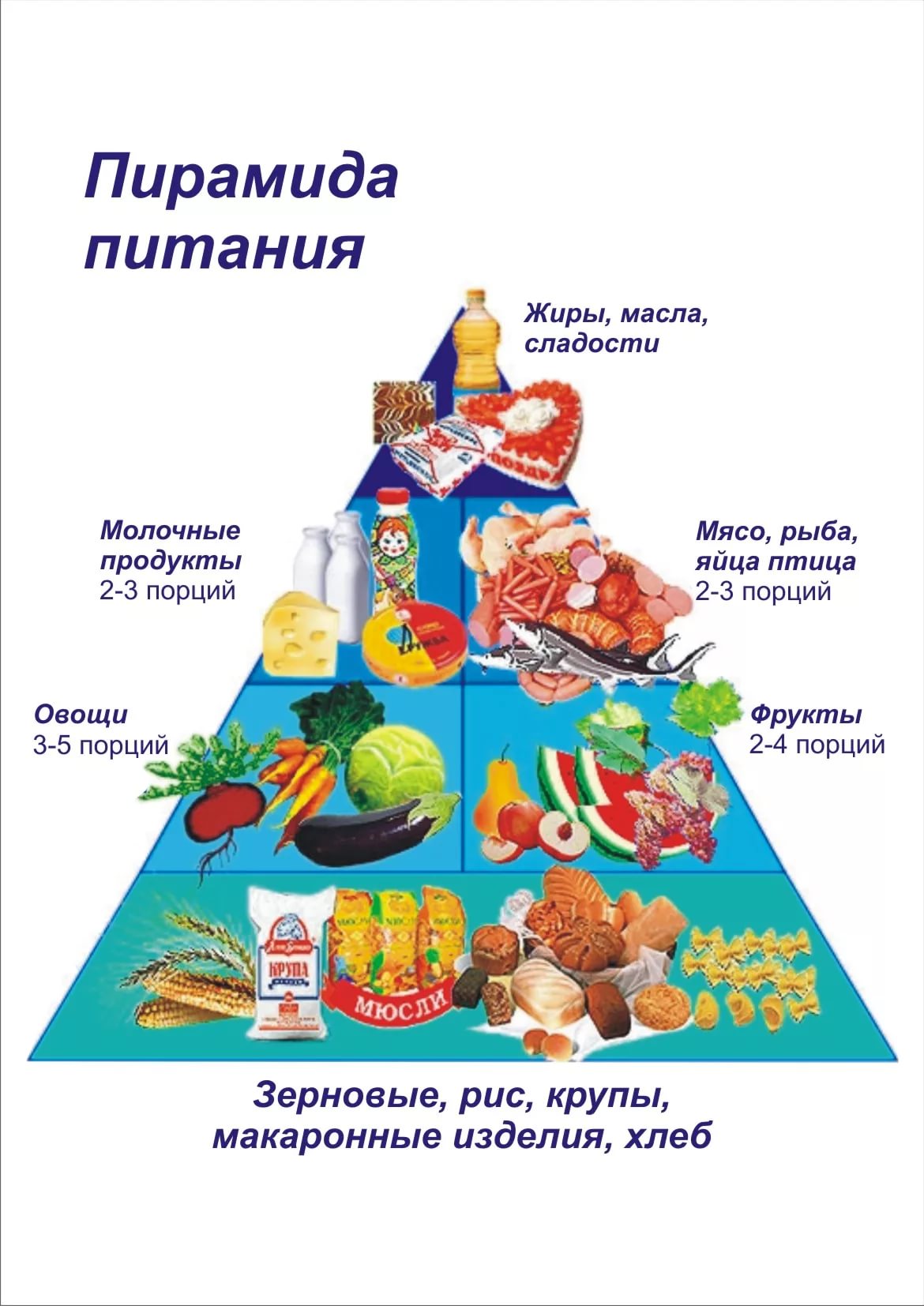 Пирамида Правильного Питания Для Школьников Картинки
